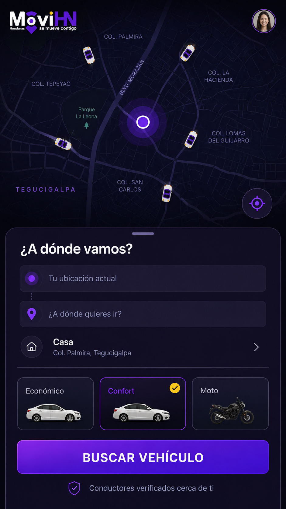 Pantalla para buscar un vehículo